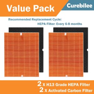 116131 True HEPA Replacement Filter I Compatible with Winix C555 Air Cleaner Purifier, H13 Grade True HEPA Filter, Compares to Winix 116131 Filter I (2 Set)