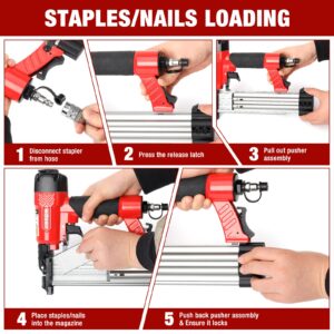 Arrow 4-in-1 Pneumatic 18 Gauge Flooring Stapler/Nailer, Oil-Free Mini 18 GA Pneumatic Flooring Staple Gun/Nail Gun with 1200 Pcs Staples/Nails, Adjustable Depth, for Upholstery, Flooring