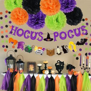 Halloween Party Decorations - Hocus Pocus Themed Trunk Or Treat Car Decorations Kit for SUV Hocus Pocus Spell Book Cat Witches Stisters Banner Orange Black Purple Green Tissue Paper Pom Pom