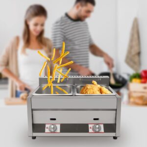 Propane LPG Gas Deep Fryer 2 Burners Commercial Countertop Deep Gas Fryer Natural Gas Food Warmer Stainless Steel 6L ×2 for French Fries Restaurant Home Kitchen, without Baskets (US Stock)