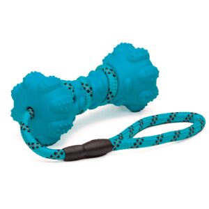 PetPurpose Interactive Dog Toys for Aggressive Chewers, Puppies, and Active Dogs with Rubber Teeth Cleaning Textured Chew Surface and Throw or Tug Rope, Heavy Duty (Blue)