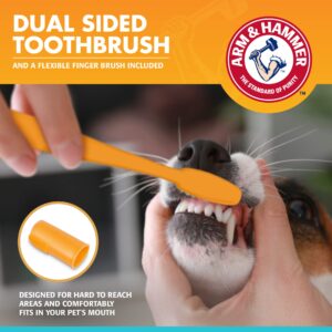 Arm & Hammer for Pets Fresh Breath Kit for Dogs | Wahl USA 4-in-1 Calming Pet Shampoo