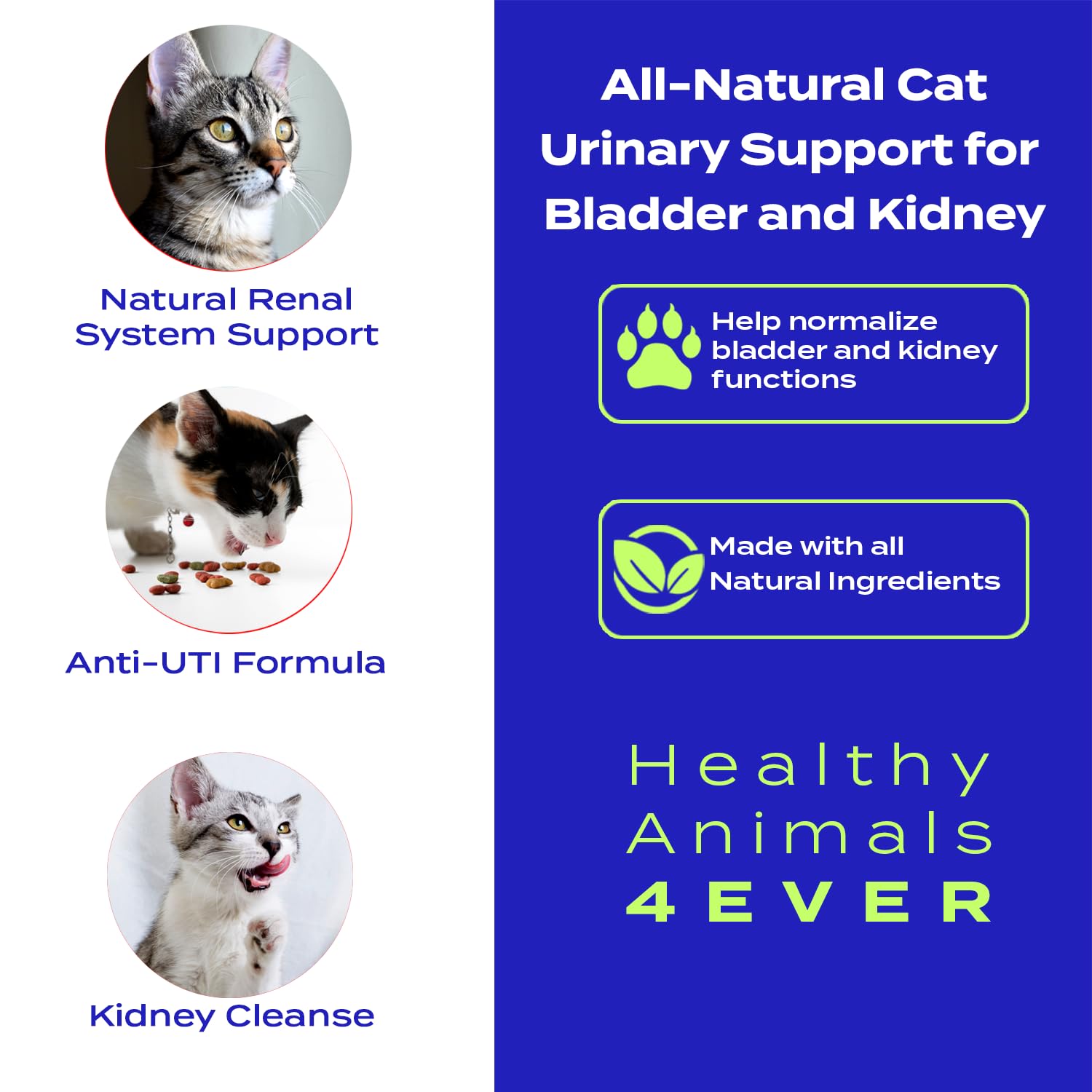 Healthy Animals 4 Ever Urinary Support for Bladder and Kidneys for Cats - for Urinary Tract Infections & Renal Cleansing - Natural, Homeopathic, Non-GMO, Organic - Preservative & Chemical Free - 300ct