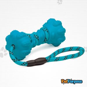 PetPurpose Interactive Dog Toys for Aggressive Chewers, Puppies, and Active Dogs with Rubber Teeth Cleaning Textured Chew Surface and Throw or Tug Rope, Heavy Duty (Blue)