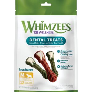 Whimzees by Wellness Brushzees Small + Medium Size Bundle, Natural Dental Chews for Dogs, Grain-Free, 24 Count of Small Size + 12 Count of Medium