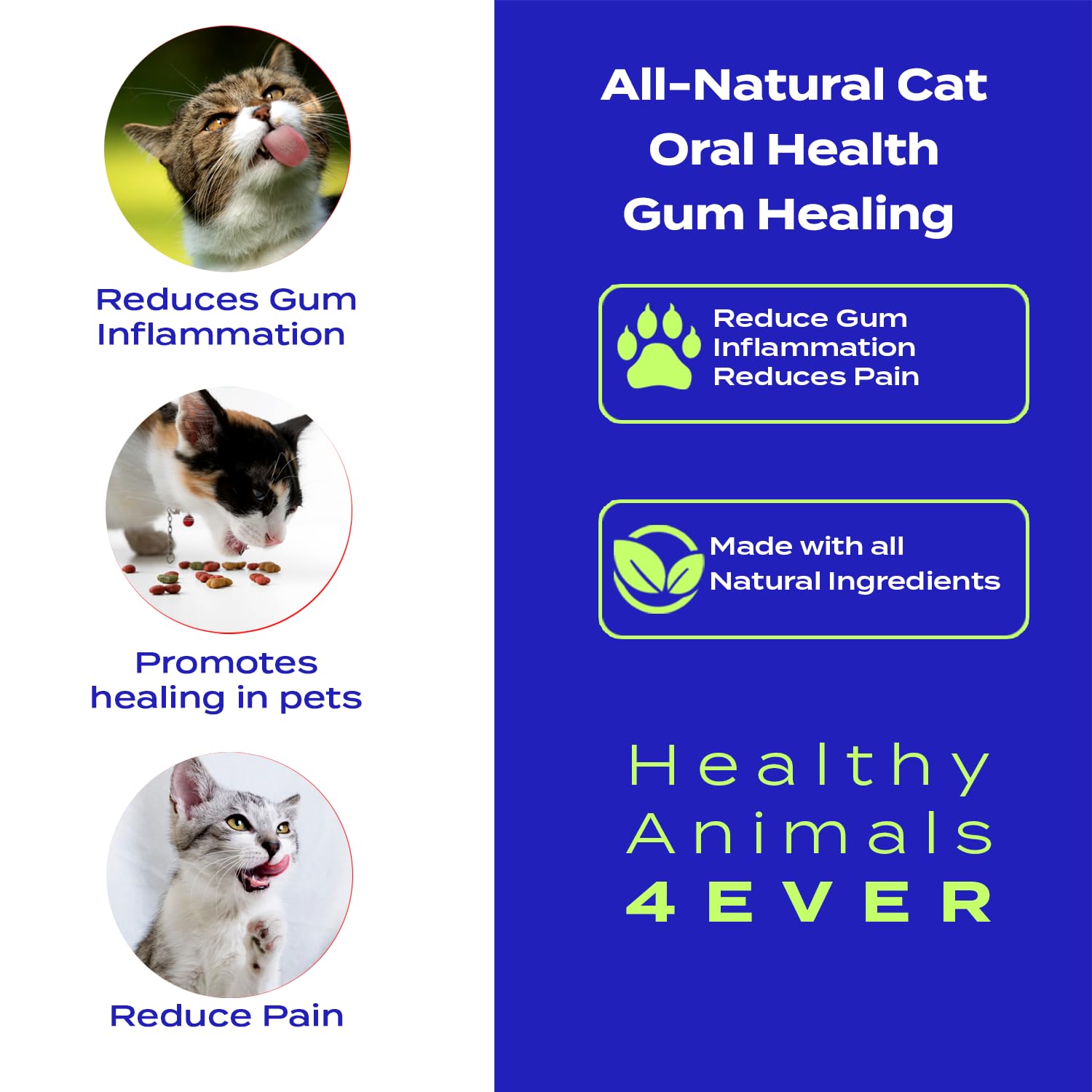 Healthy Animals 4 Ever Oral Health Gum Healing for Cats - Relieves Inflammation, Soothes Pain, Fights Gum Disease - Natural, Non-GMO, Organic - Gluten, Preservative & Chemical Free Supplement - 300 ct