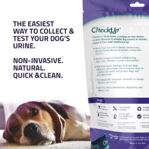 CheckUp Pro at Home Wellness Test for Dogs | Telescopic Pole, Cup, 2 Strips | Early Detection of 10 Health Indicators | pH, Protein, Urobilinogen, Glucose, Bilirubin, Ketone, S-Gravity, Blood in urine