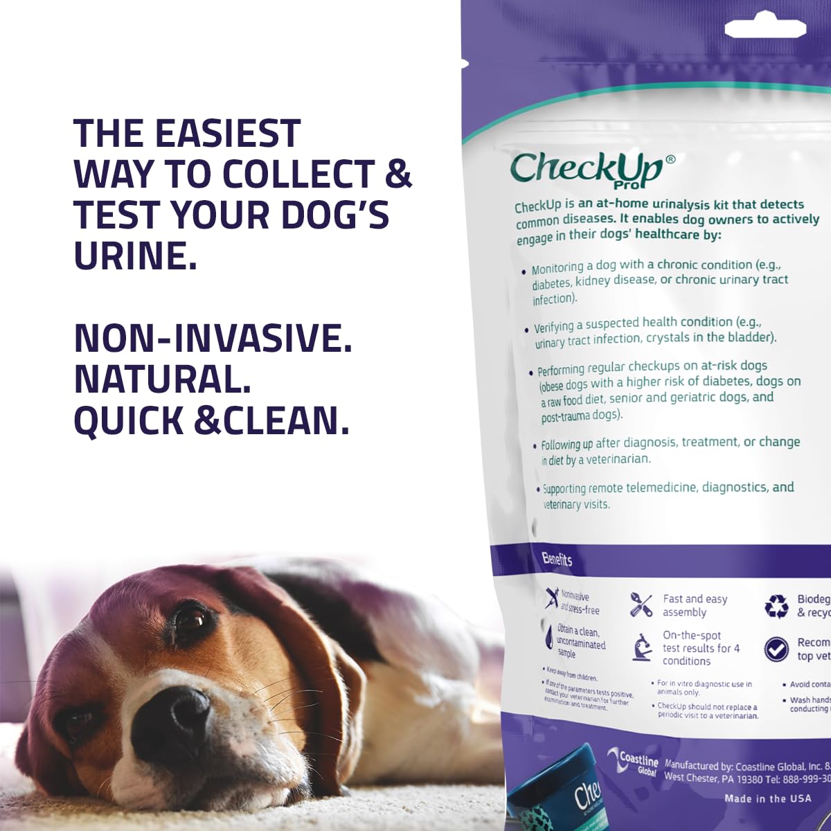 CheckUp Pro at Home Wellness Test for Dogs | Telescopic Pole, Cup, 2 Strips | Early Detection of 10 Health Indicators | pH, Protein, Urobilinogen, Glucose, Bilirubin, Ketone, S-Gravity, Blood in urine