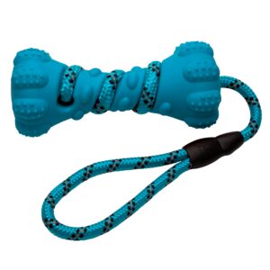 PetPurpose Interactive Dog Toys for Aggressive Chewers, Puppies, and Active Dogs with Rubber Teeth Cleaning Textured Chew Surface and Throw or Tug Rope, Heavy Duty (Blue)