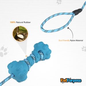 PetPurpose Interactive Dog Toys for Aggressive Chewers, Puppies, and Active Dogs with Rubber Teeth Cleaning Textured Chew Surface and Throw or Tug Rope, Heavy Duty (Blue)