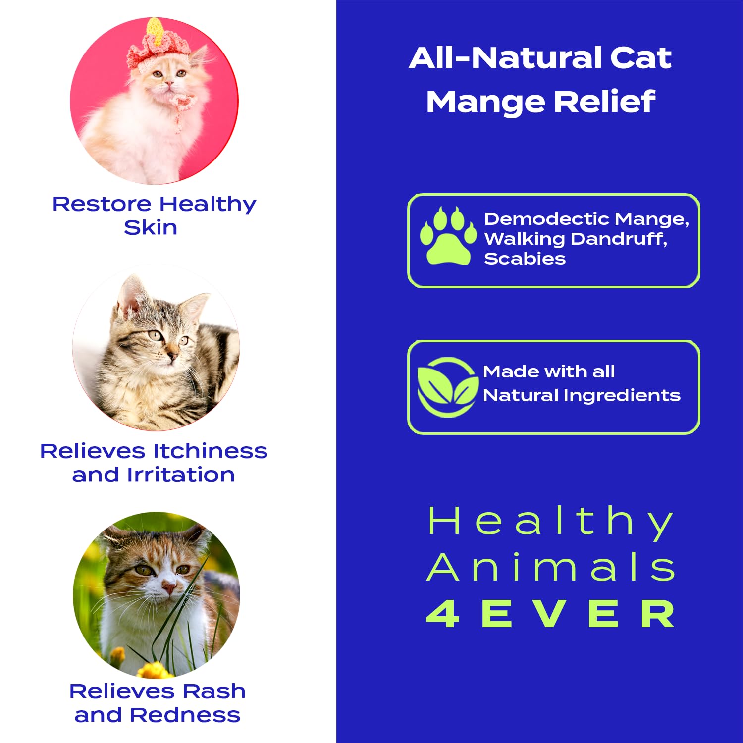 HealthyAnimals4Ever Mange Relief for Cats - Treatment for Itchiness, Scabs, & Hair Loss Caused by Mites - All-Natural, Homeopathic, Non-GMO, Organic - Gluten, Preservative & Chemical Free - 300 ct