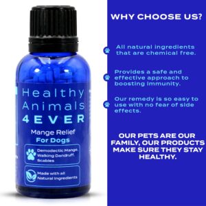 HealthyAnimals4Ever Mange Relief for Dogs - Treatment for Itchiness, Scabs, & Hair Loss Caused by Mites - All-Natural, Homeopathic, Non-GMO, Organic - Gluten, Preservative & Chemical Free - 300 ct