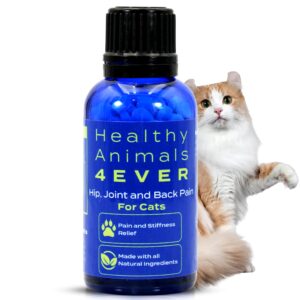 healthy animals 4 ever arthritis remedy for cats - restore energy & vitality - support hip & joint health - minimize pain - all-natural, non-gmo, organic - preservative & chemical free - 300 ct