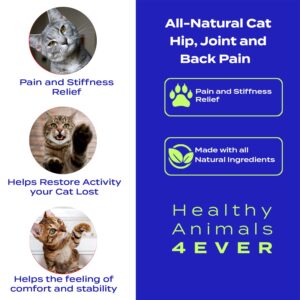 Healthy Animals 4 Ever Arthritis Remedy for Cats - Restore Energy & Vitality - Support Hip & Joint Health - Minimize Pain - All-Natural, Non-GMO, Organic - Preservative & Chemical Free - 300 ct