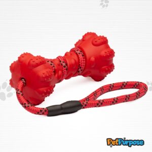 PetPurpose Interactive Dog Toys for Aggressive Chewers, Puppies, and Active Dogs with Rubber Teeth Cleaning Textured Chew Surface and Throw or Tug Rope, Heavy Duty (Red)