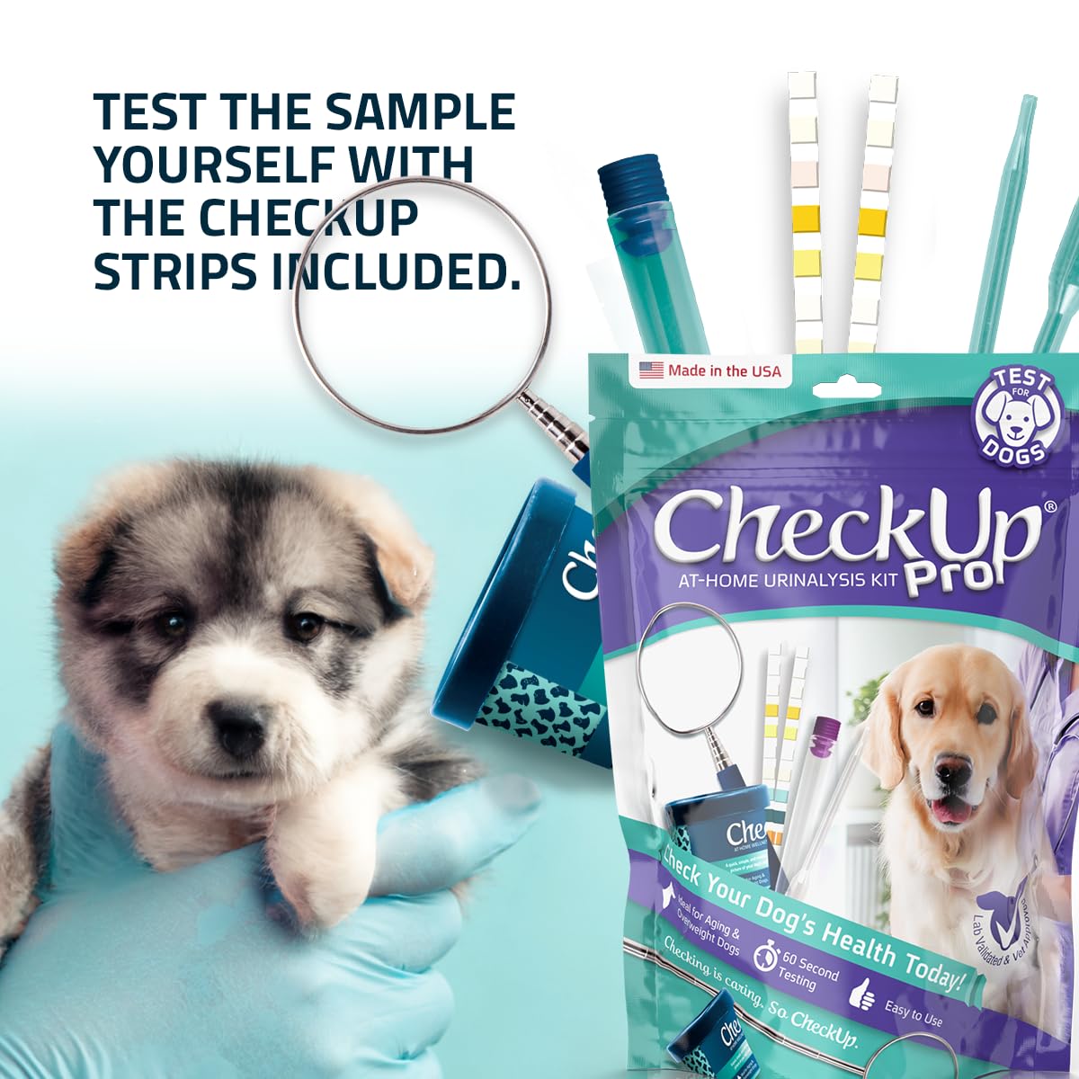 CheckUp Pro at Home Wellness Test for Dogs | Telescopic Pole, Cup, 2 Strips | Early Detection of 10 Health Indicators | pH, Protein, Urobilinogen, Glucose, Bilirubin, Ketone, S-Gravity, Blood in urine