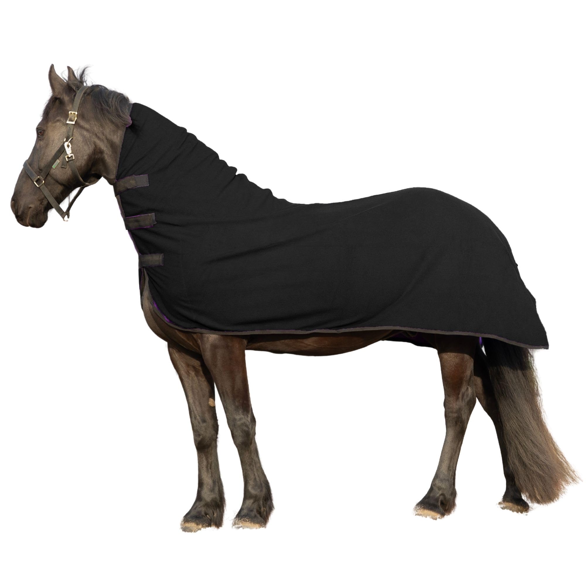 RESISTANCE Long Lasting & Warm Soft Fleece Contour Cooler for Horse (Large (74"-78"), Black)