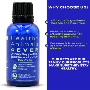 Healthy Animals 4 Ever Urinary Support for Bladder and Kidneys for Cats - for Urinary Tract Infections & Renal Cleansing - Natural, Homeopathic, Non-GMO, Organic - Preservative & Chemical Free - 300ct