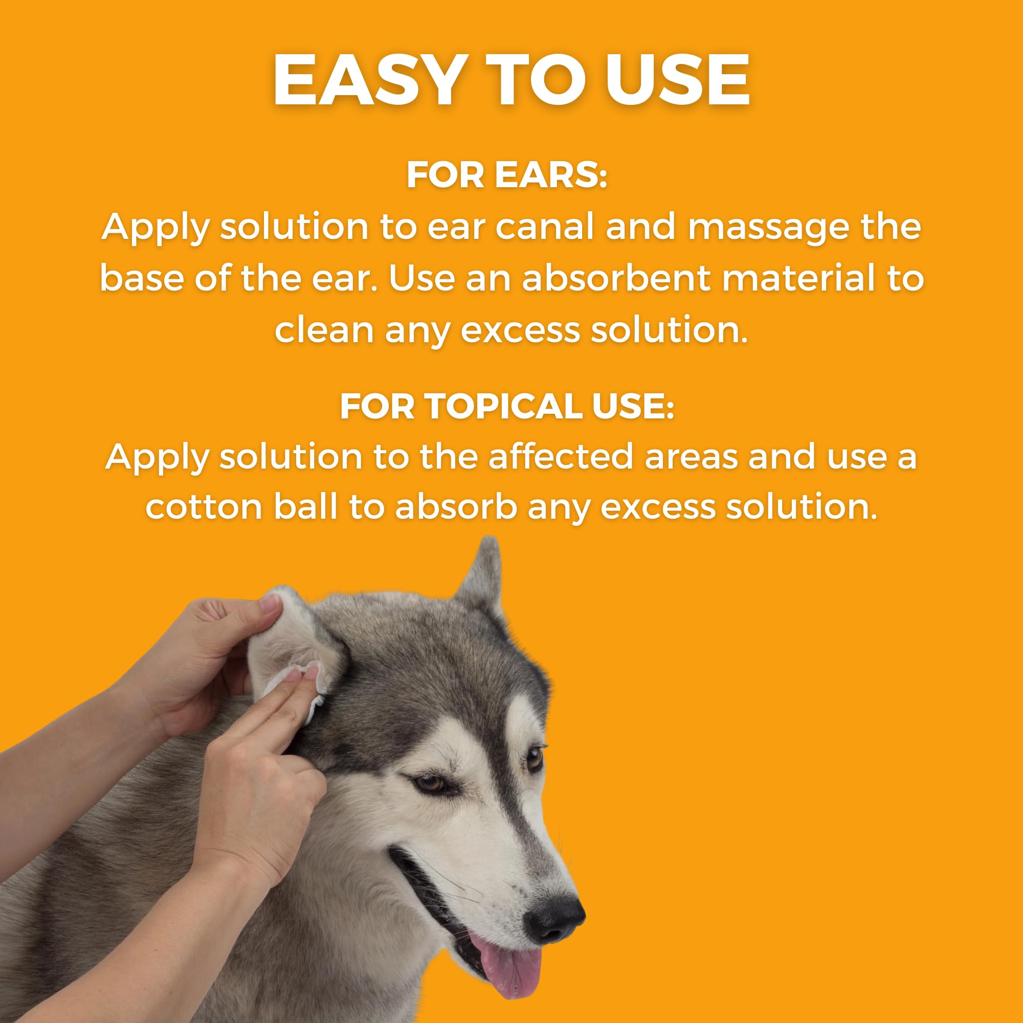 Nootie Dermatology Solutions- Ear Flush for Dogs & Cats, 4 oz