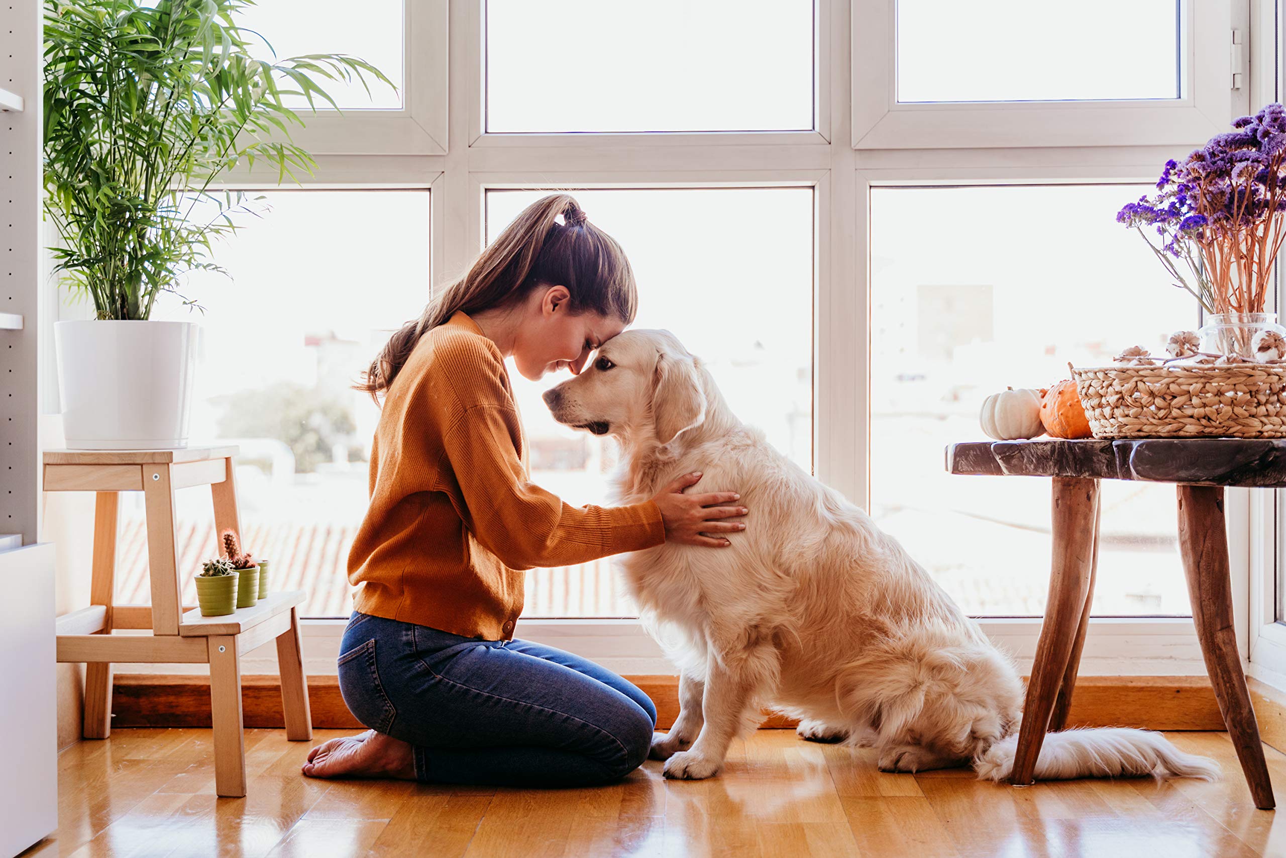 Nutri Chomps Dog Chews, Real Chicken, Peanut Butter and Milk Flavors | Easy to Digest Rawhide-Free Dog Treats