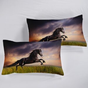 BSNTHO Horse Duvet Set Full Size,Wild Animal 3 Piece Bedding Set,Galloping Black Horse Comforter with Pillow Shames, for All Seasons, Ultra-Soft, Lightweight, Breathable