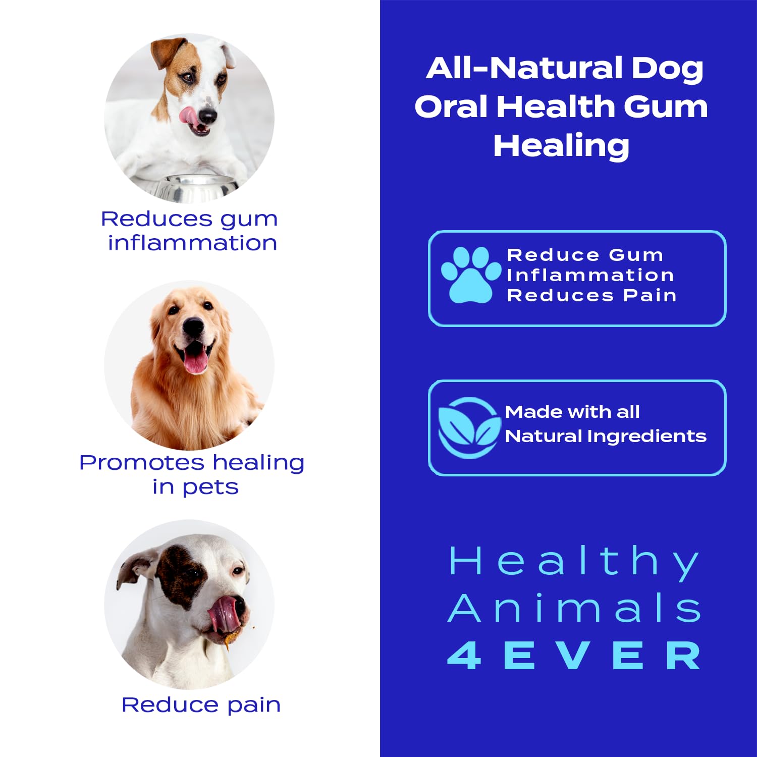 Healthy Animals 4 Ever Oral Health Gum Healing for Dogs - Relieves Inflammation, Soothes Pain, Fights Gum Disease - Natural, Non-GMO, Organic - Gluten, Preservative & Chemical Free Supplement - 300 ct