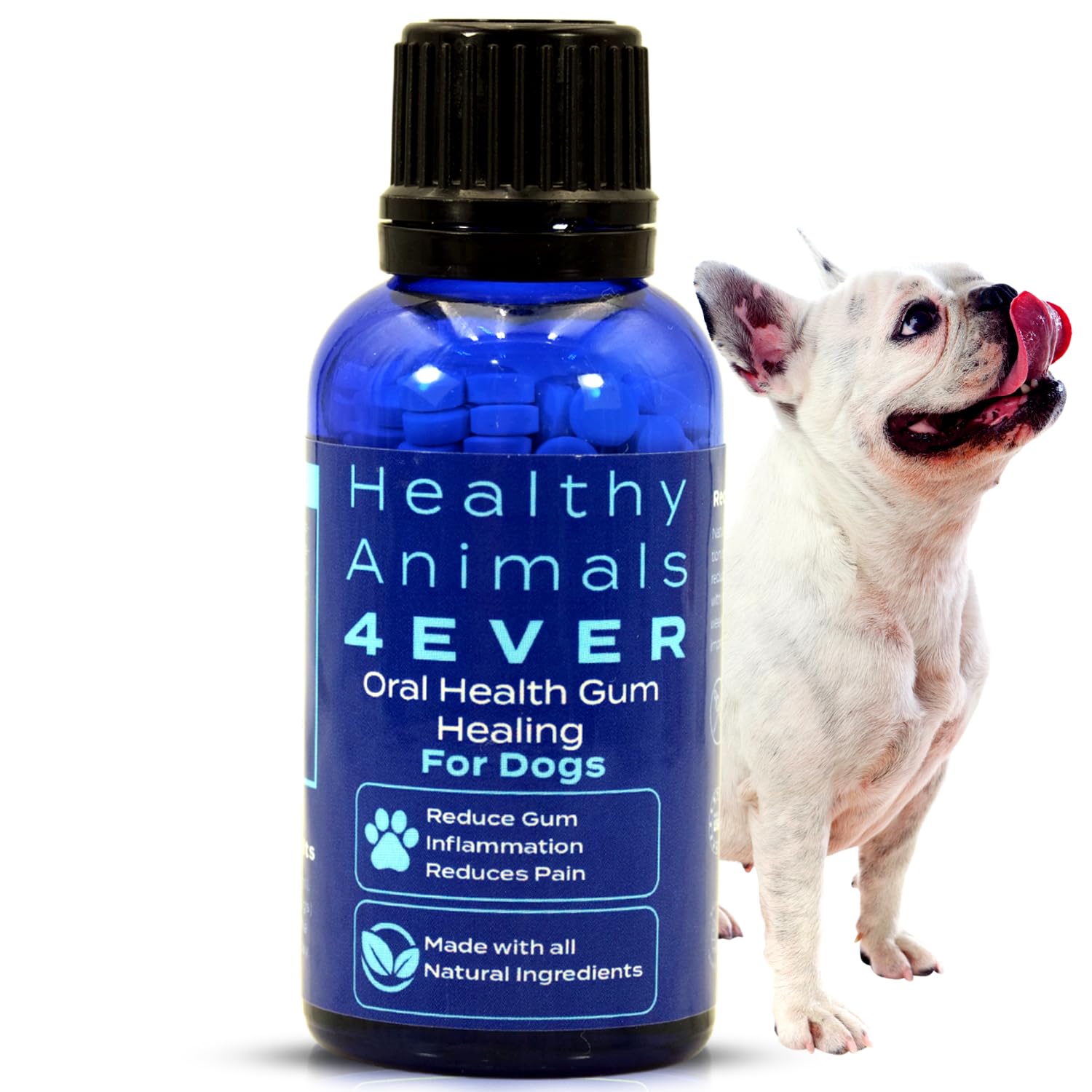 Healthy Animals 4 Ever Oral Health Gum Healing for Dogs - Relieves Inflammation, Soothes Pain, Fights Gum Disease - Natural, Non-GMO, Organic - Gluten, Preservative & Chemical Free Supplement - 300 ct