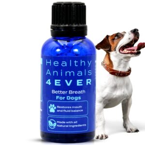 healthyanimals4ever bad breath for dogs pellets - dissolvable - no brushing - for clean teeth, plaque & tartar control - all-natural, non-gmo, organic - preservative & chemical free - 300 ct