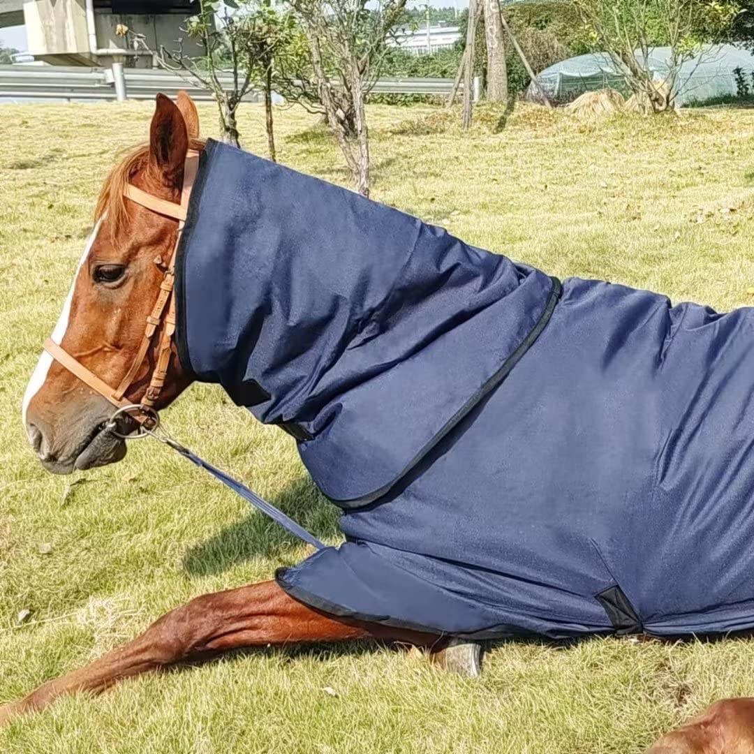 Waterproof Horse Turnout Blanket，Medium Weight Winter HorseTurnout Blanket (220g Fill) with Detachable Neck Cover，Blanket for Horse - Blue - 72 in