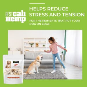 Best Cali Hemp Puppy Treats Calming Chews for Dogs Anxiety with Vitamin A, E, D3, B12 Supplement, Helps Relax, Reduce Stress, Storm Anxiety, Calming, Sleep Aid for Dogs - Bacon (30 Treats)