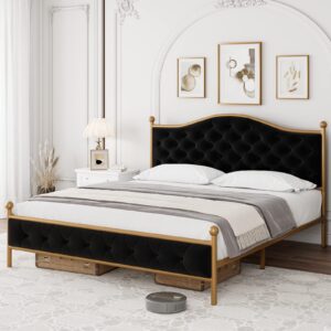 hifit luxury queen size platform bed frame with elegant button tufted curved headboard, velvet upholstered bed frame with no noise, heavy duty metal frame foundation, no box spring needed, gold-black