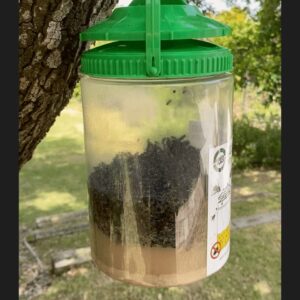 Shield Fly-in Reusable Fly Trap - Includes All Natural Bait for Fly Traps