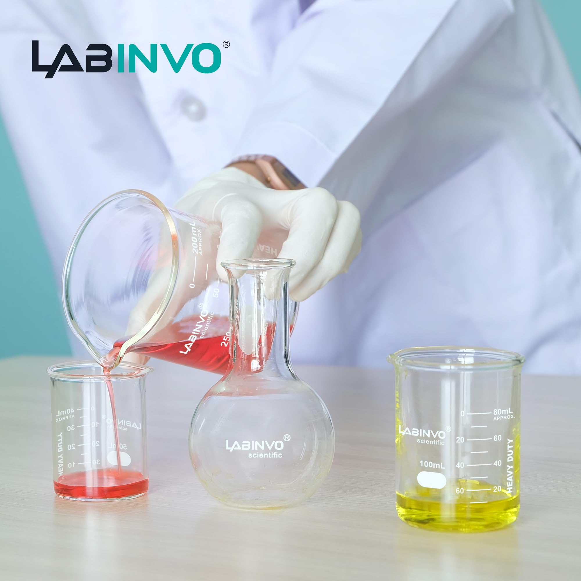 LABINVO Heavy-Duty Glass Beaker Set, 10pcs of Vol.250ml, 3.3 Borosilicate Glass, Thickened Beakers, with Double Scale, IN-HBK250B