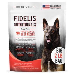 fidelis high protein grain-free freeze-dried raw dog food, mixer, animal protein, omega 3, glucosamine, cranberries, blueberries, active dogs small & large, adult & puppy, made in usa, beef, 2 lbs