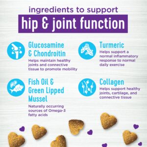 Wellness Grilled Chicken Flavored Soft Chews Hip & Joint Health Supplements for Dogs, 90 Count