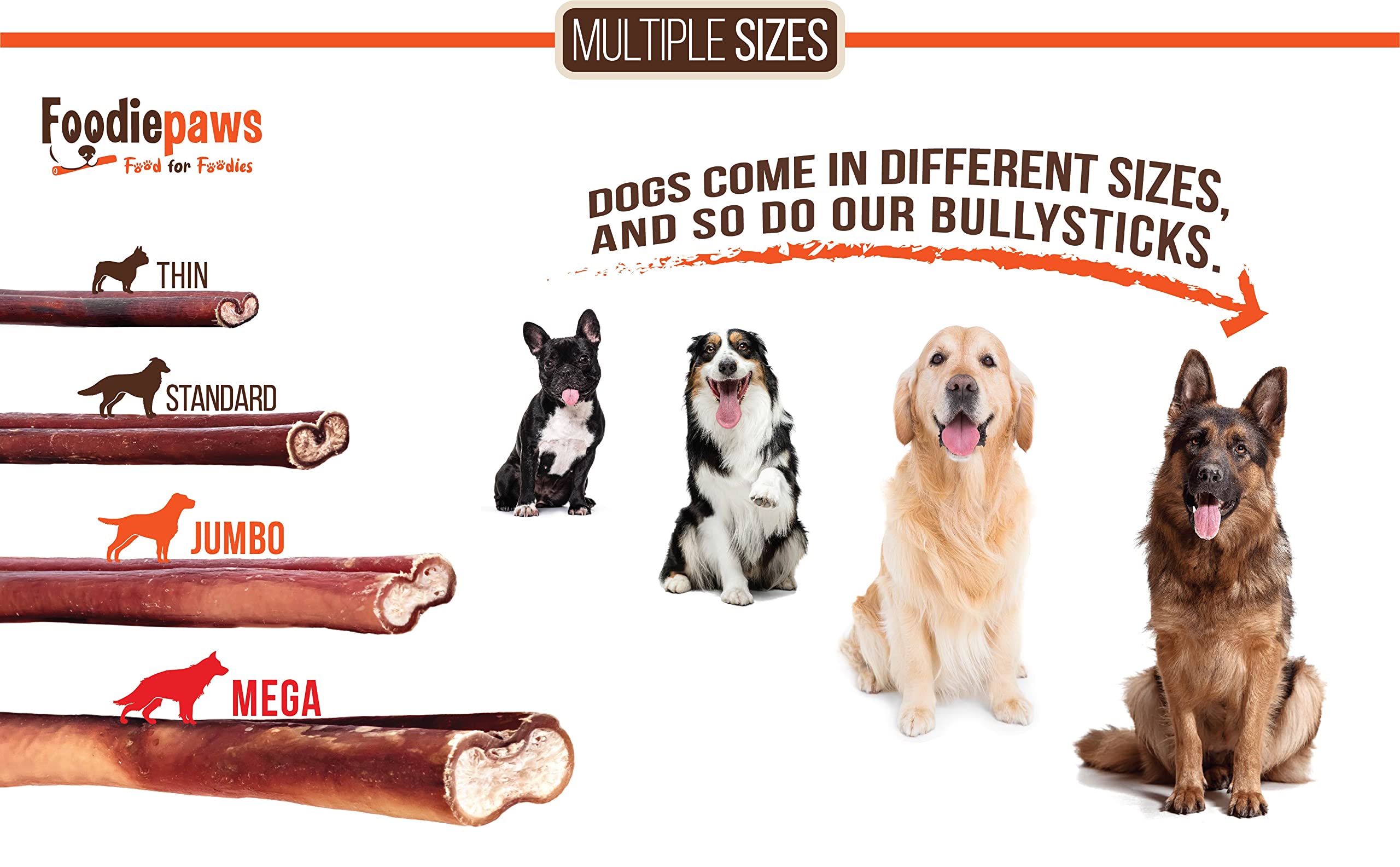 FOODIEPAWS All Natural 6-inch Jumbo Bully Sticks Odor Free USA Packed for Medium, Large Dogs- 100% Free-Range Grass-Fed Beef-Single Ingredient & Rawhide Free-Longer Lasting Dental Dog Chews 10 Pcs