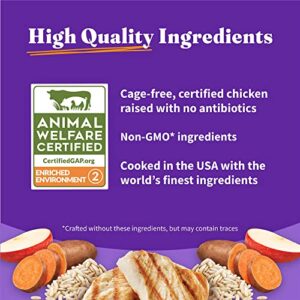 Halo Holistic Adult Dog Healthy Grains Cage-Free Chicken & Brown Rice Recipe Kibble 3.5 lb