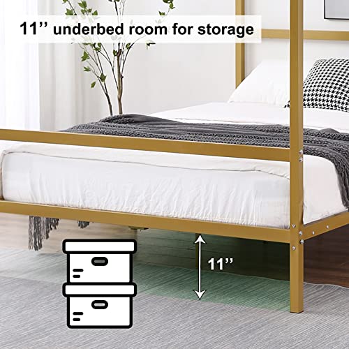 Bonnlo Metal Canopy Bed Frame King,Gold 4 Poster Bed,10 inches Canopy Platform Bed,No Box Spring Needed