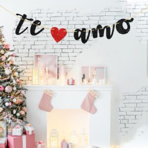 Halodete Te Amo Banner, Spanish Theme I Love You Banner, Bridal Shower, Wedding Party Garland Bunting Decorations - Black Glitter