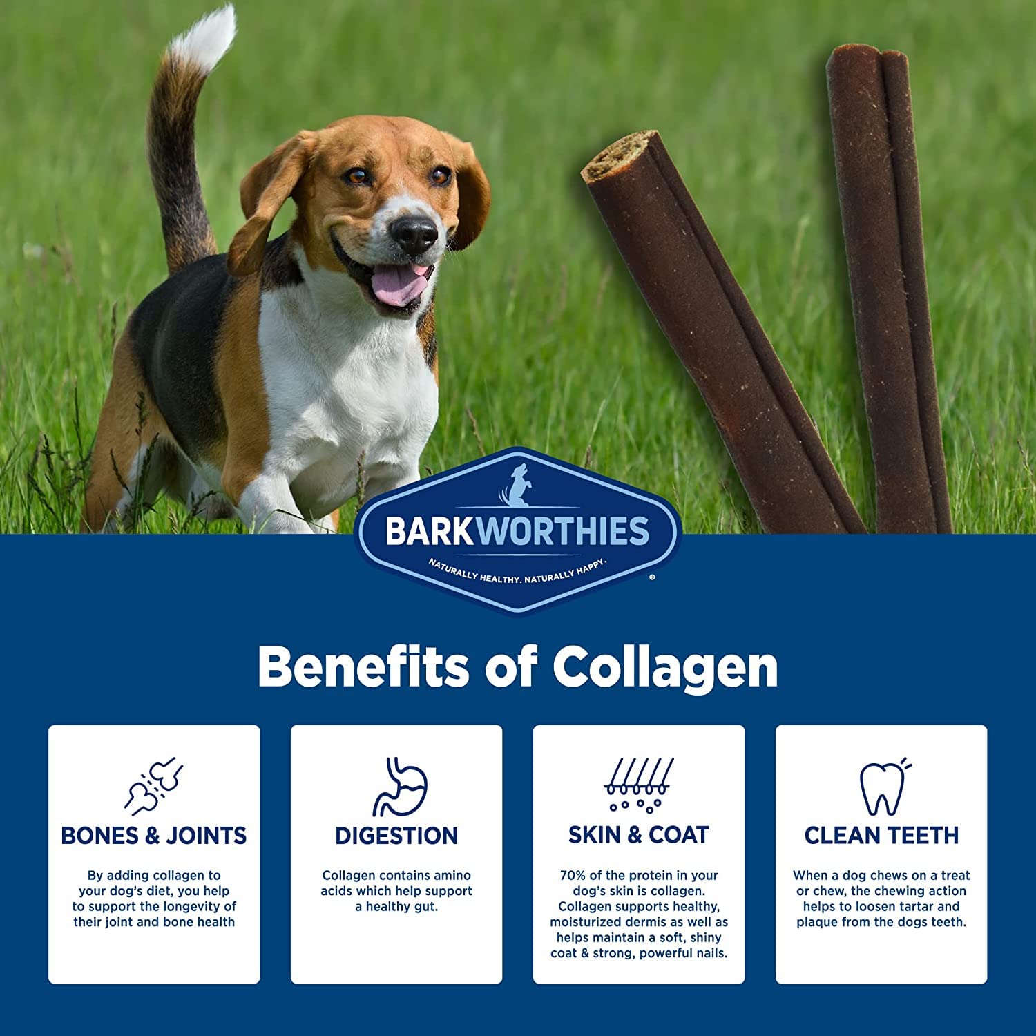 Barkworthies Premium Collagen Beef Sticks for Dogs - 2 Pack 6 inch Daily Health Collagen Chews- 8 Count Grain Free, Rawhide Free, Natural Dog Treats for Aggressive Chewers Dog Pack with E-Book