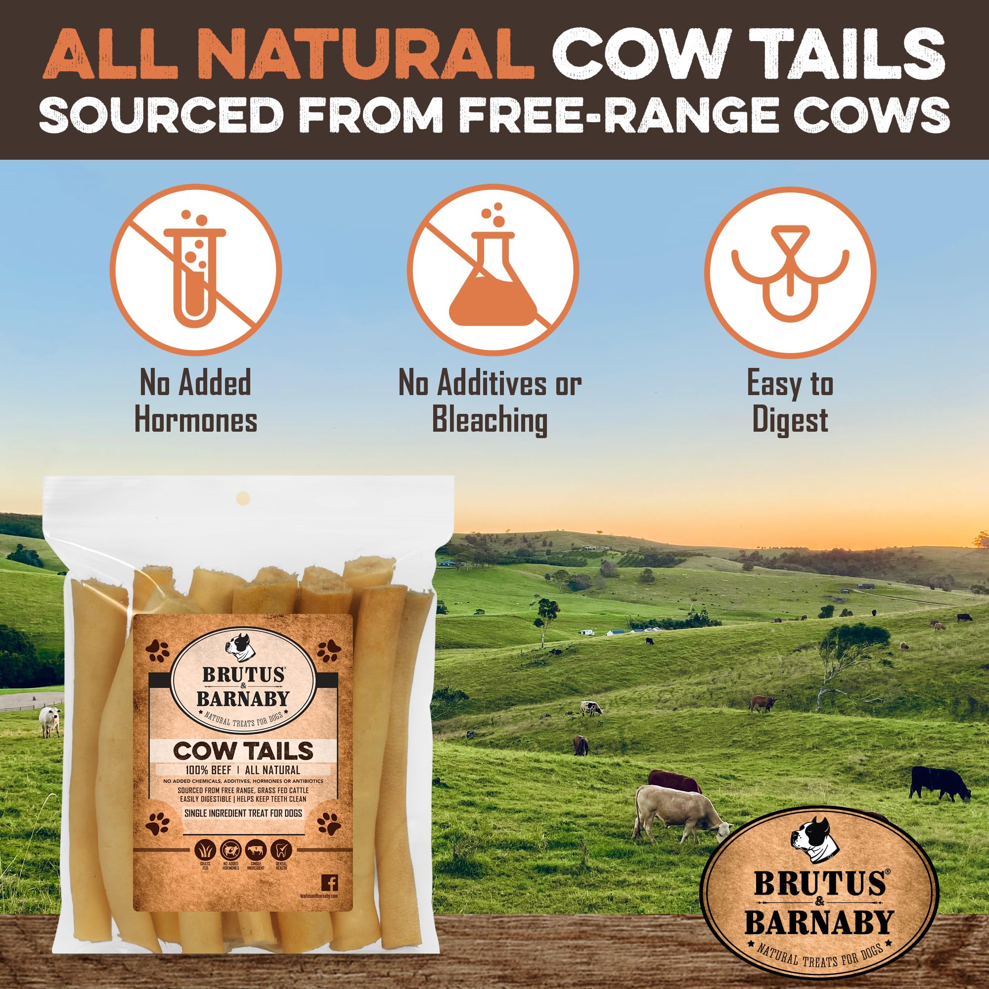 BRUTUS & BARNABY 100% Natural Cow Tails Dog Treat - Our Healthy Cow Tails for Dogs are Easy to Digest, Chemical & Hormone Free - Thick & Hearty Chew, Great Rawhide Alternative for Small Or Large Dogs