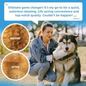 6 Hypoallergenic Pet Grooming Cleaning Wet Wipes Mitt - No Water or Shampoo Needed, Deoderizing, Conditioning, Mouisturing, Fresh, Pet Supplies No Mess Mitts - UNSCENTED