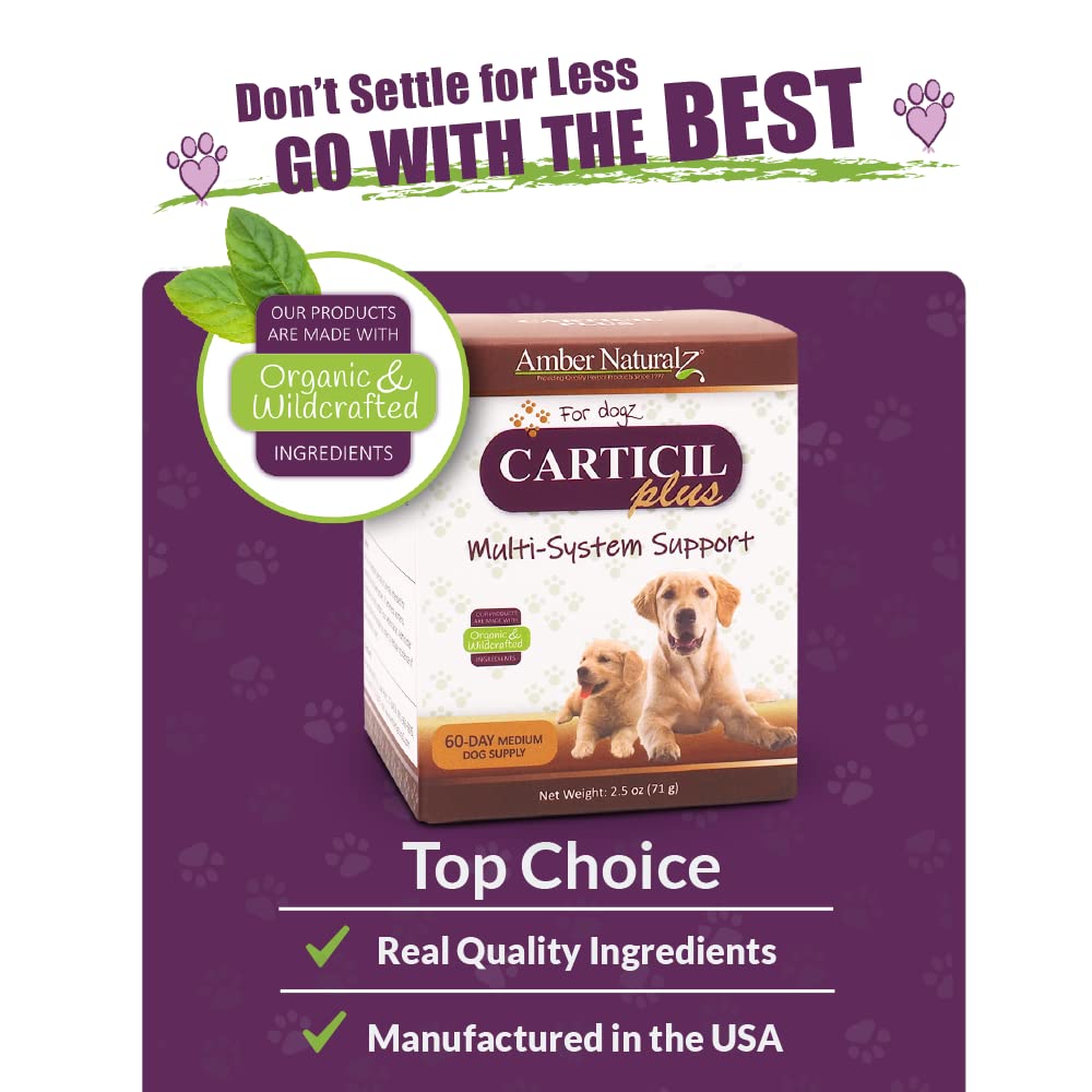 Amber NaturalZ Carticil Plus Herbal Supplement for Dogs | Multi System Support is a Blend for Digestive, Respiratory, and Cardiovascular Health | 60-Day Medium Dog Supply | Manufactured in The USA