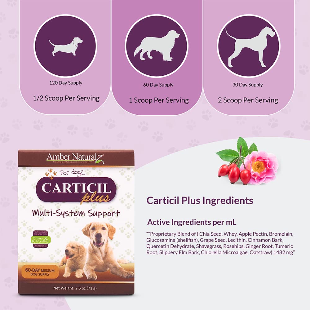 Amber NaturalZ Carticil Plus Herbal Supplement for Dogs | Multi System Support is a Blend for Digestive, Respiratory, and Cardiovascular Health | 60-Day Medium Dog Supply | Manufactured in The USA