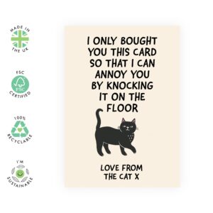 CENTRAL 23 Funny Cat Birthday Card For Fur Mom and Cat Dad - Cute Birthday Greeting Cards From The Cat - Animal Lover, Pet Owner - Comes With Fun Stickers - Made In UK