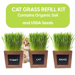 Organic Indoor Cat Grass Kit - 3 Wooden Planters, Certified Seeds, and Premium Soil for Happy Cats. Delight Your Feline Friends with The Ultimate Cat Grass Experience! (Catgrass Refill Kit)