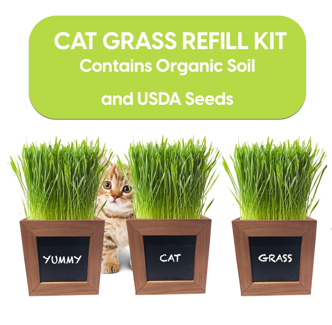 Organic Indoor Cat Grass Kit - 3 Wooden Planters, Certified Seeds, and Premium Soil for Happy Cats. Delight Your Feline Friends with The Ultimate Cat Grass Experience! (Catgrass Refill Kit)