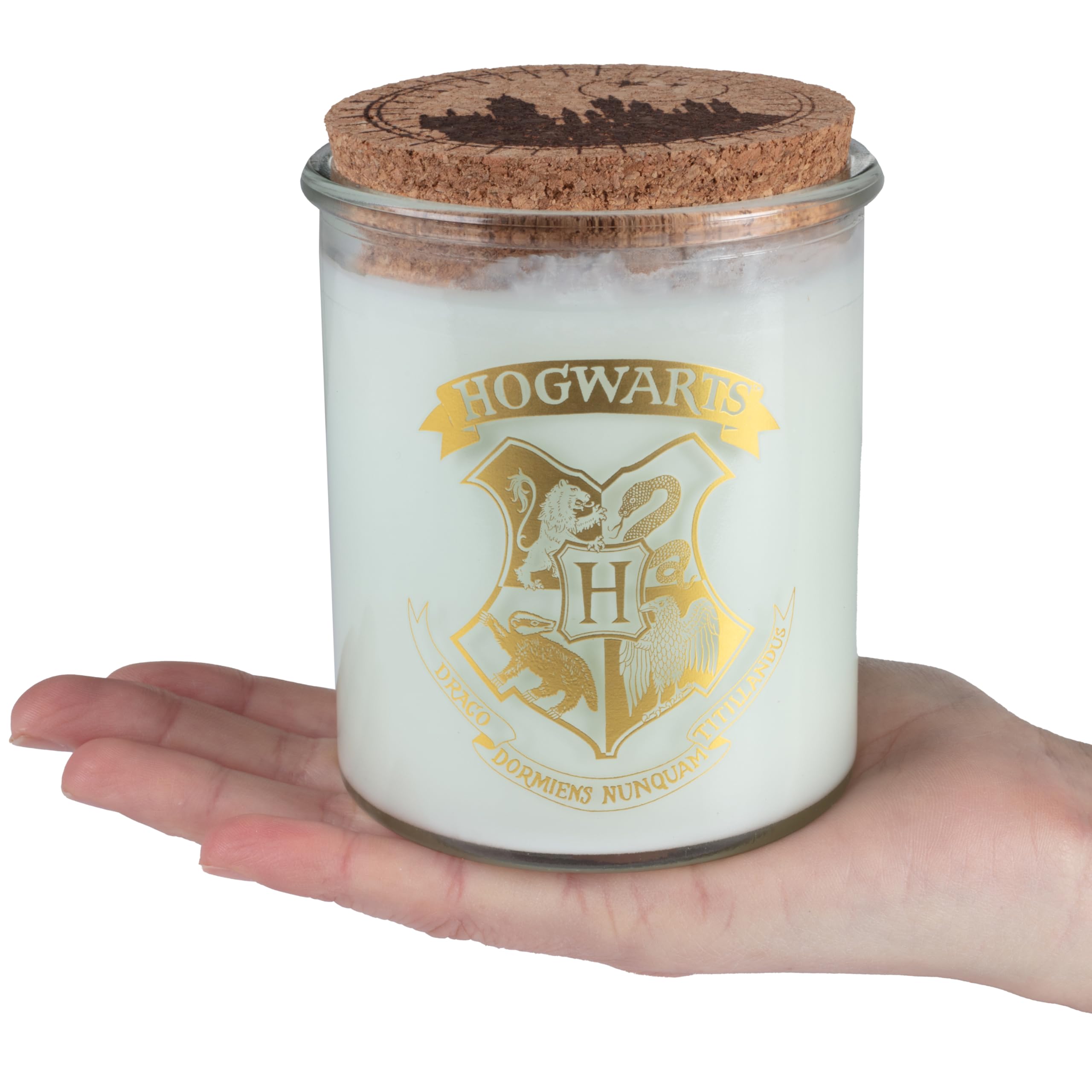 Harry Potter Color Changing Hogwarts House Candle, Large 10 oz - Mystery Color Wax Turns from White to A Color When Lit to Reveal a Hogwarts House - Soy Wax, Unscented - Great Gift for Teens & Adults