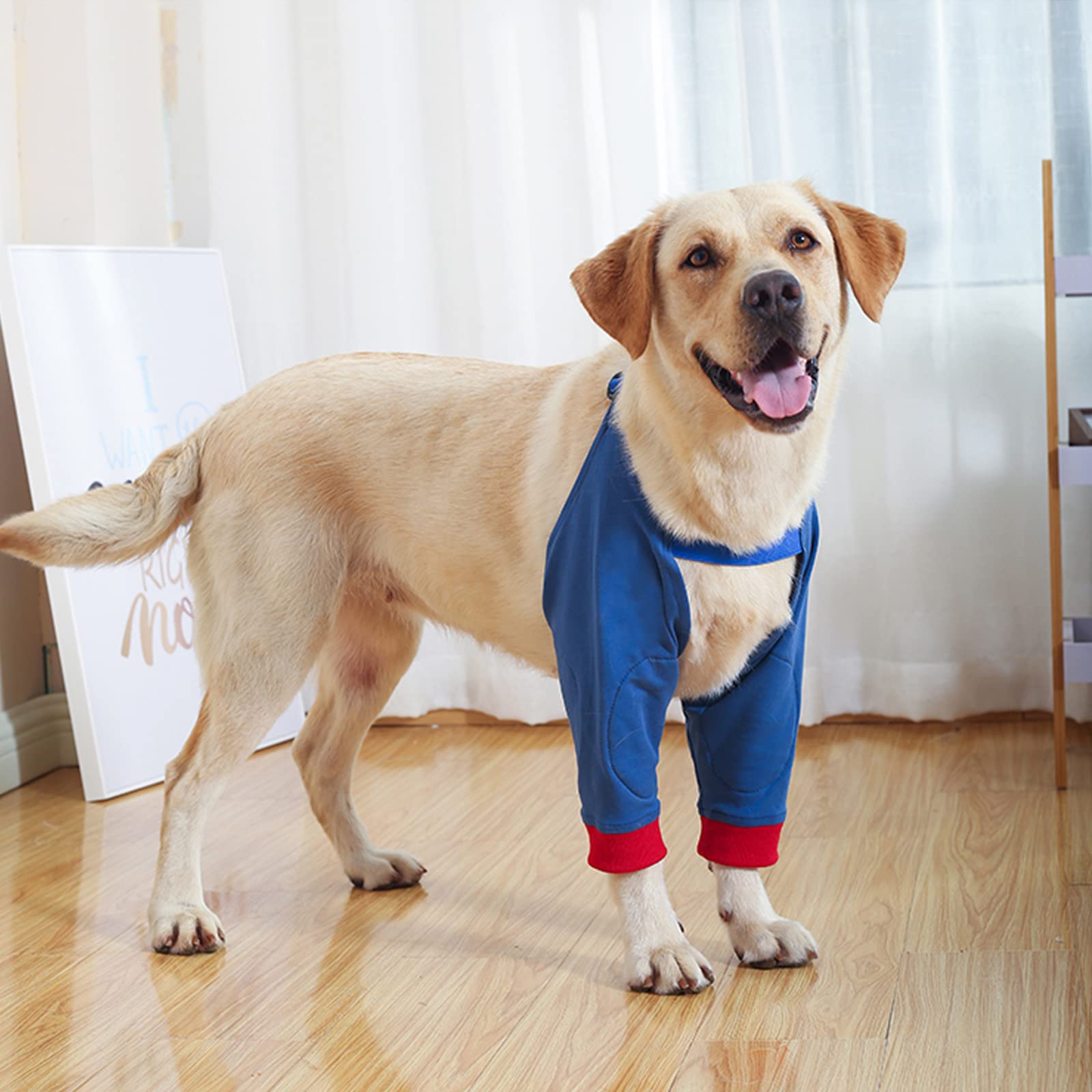 ROZKITCH Dog Surgery Recovery Sleeve for Front Legs, Pet Prevent Licking Wound Elbow Brace Protector, Dog Recovery Suit Cone Collar Alternative for Sprain ACL CCL Arthritis Blue M