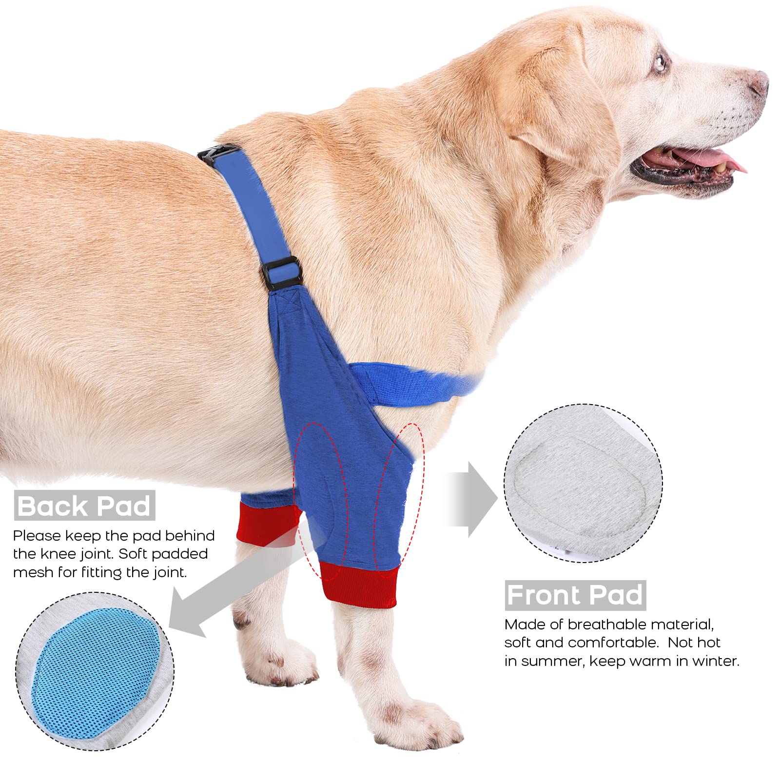 ROZKITCH Dog Surgery Recovery Sleeve for Front Legs, Pet Prevent Licking Wound Elbow Brace Protector, Dog Recovery Suit Cone Collar Alternative for Sprain ACL CCL Arthritis Blue M